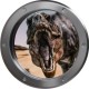 Stickers trompe l'oeil hublot argent dinosaure Tyrex