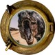 Stickers trompe l'oeil hublot bronze dinosaure Tyrex