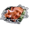 Sticker trompe l'oeil 3D mur déchiré Johnny Hallyday ne m oubliez pas